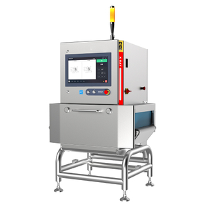 X-ray inspection system detecting foreign object with high density metal stone glass stone